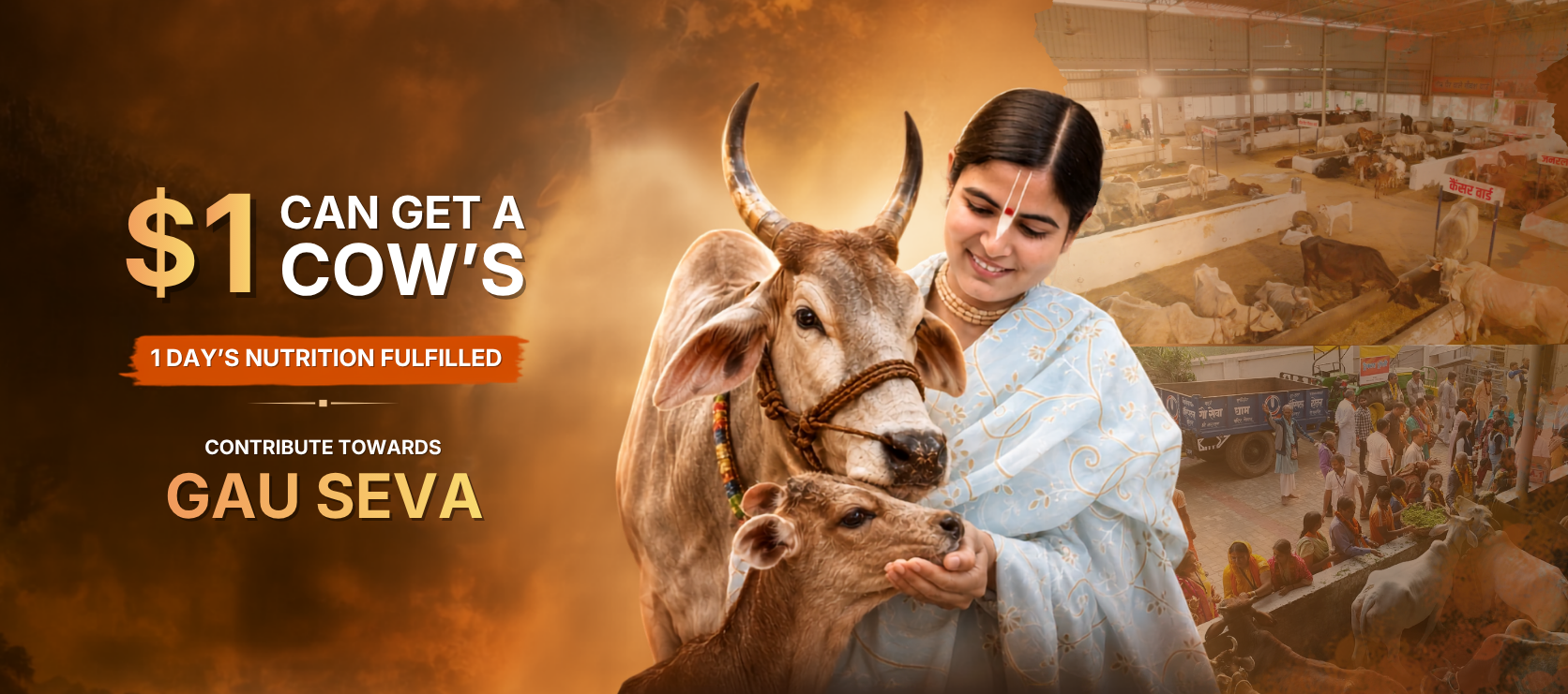 गौ सेवा धाम हॉस्पिटल (4)